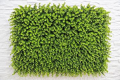 4月欧洲销量榜：《辐射4》登顶 《星刃》第九